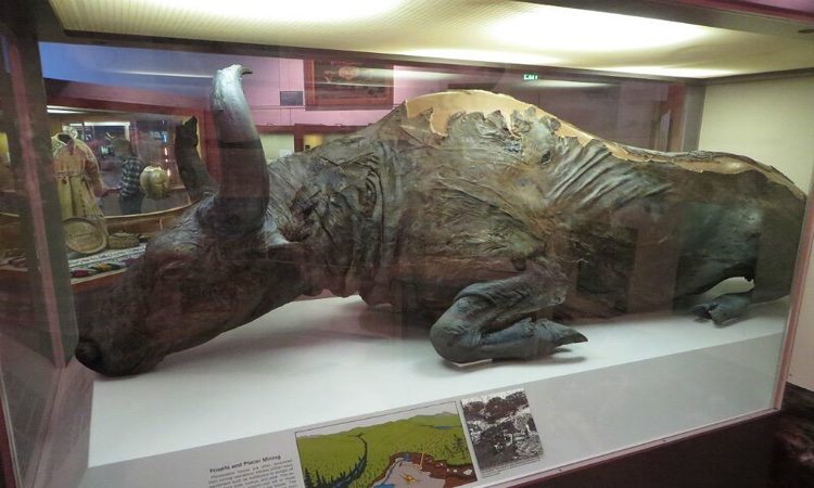 The 30 Most Amazing Higher Ed Natural History Museums - Best College ...